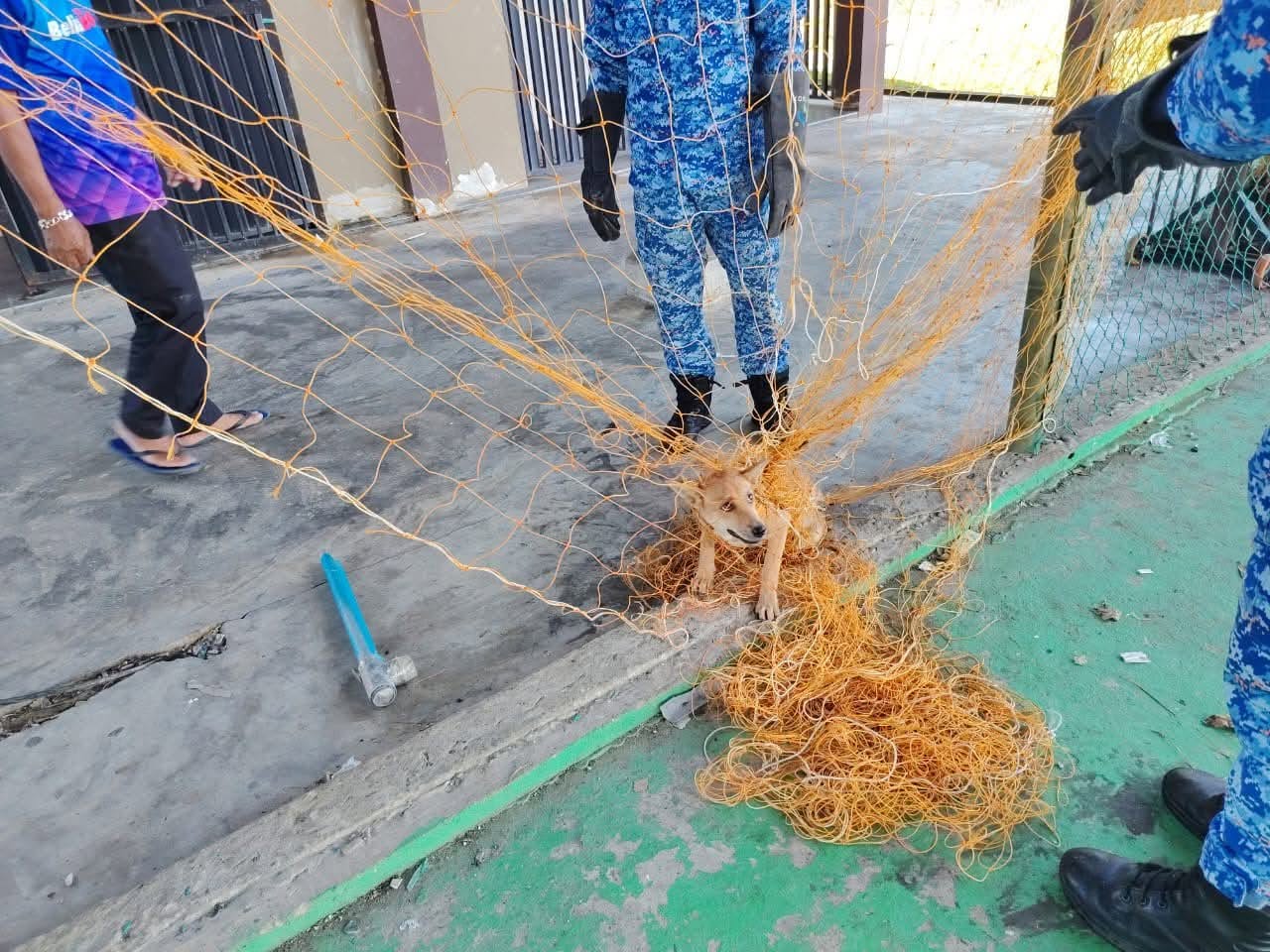 729769254 998956576174762 4012497842450938040 N