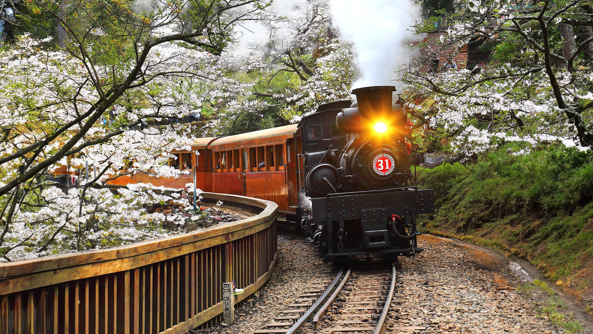Cittaiwan Alishan Tourism Administration Motc