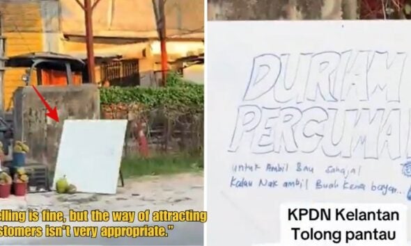 Dd Ft 44