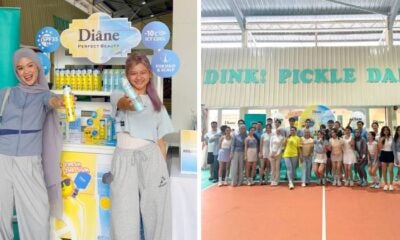 Dianepickle Header