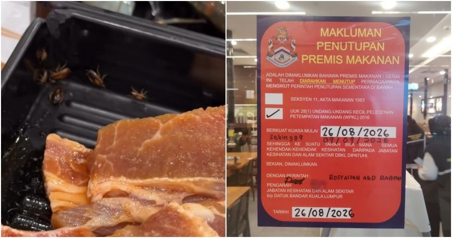 Diner Horrified After Spotting Baby Cockroaches Crawling on Raw Meat at Popular Hotpot Buffet Eatery in KL Mall