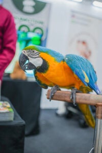 Dsc09010
