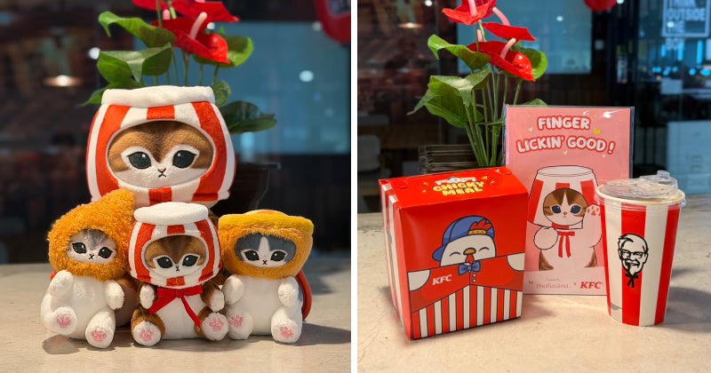 Kfc Feature 6