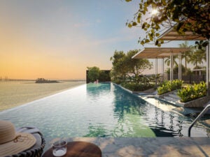 Merione Pool Eye Level Penang Bridge