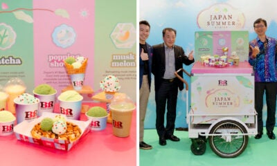 Baskin Robbins Feature