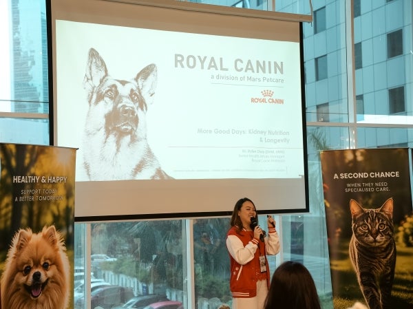 Royalcaninkidney Dr Dylan