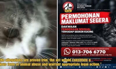 Wob 2026 Ft Image Didi 63